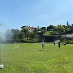 Trifoglio